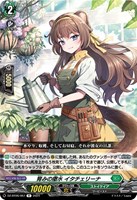 【ヴァンガード】R◇育みの撒水 イタチェリーナ