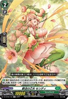 カードを売る/ヴァンガード/ブースターパック（DZシリーズ