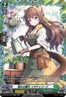 【ヴァンガード】FR◇育みの撒水 イタチェリーナ