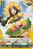 カードを買う/ヴァンガード/ブースターパック（DZシリーズ