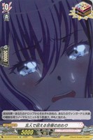 【ヴァンガード】EXC◇五人で迎える合宿のおわり