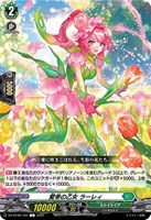 ドラグリッター ニルミーン【ヴァンガードトレカお買得価格通販