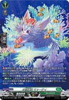 【ヴァンガード】SR◇水想幻獣 ミャーチィ
