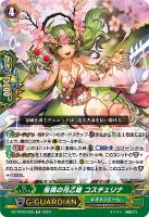 カードを買う/ヴァンガード/構築済みデッキ（DZシリーズ