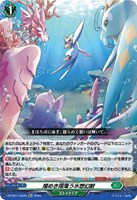 ☆SALE☆碧天白鱗アスプロニア＆サフィラ【RRR】{DZ-SS11/018