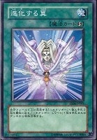 【遊戯王】ノーマル◇進化する翼