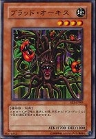 【遊戯王】ノーマル◇ブラッド・オーキス