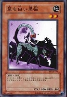 【遊戯王】ノーマル◇尾も白い黒猫