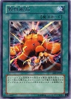 【遊戯王】レア◇野性解放