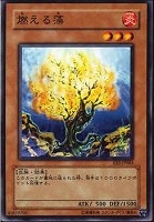 【遊戯王】ノーマル◇燃える藻