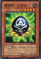 【遊戯王】ノーマル◇髑髏顔天道虫