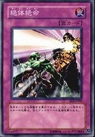 ツーマンセルバトル 遊戯王トレカお買得価格通販 トレコロ