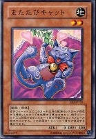 【遊戯王】ノーマル)モンスター◆またたびキャット