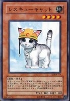 【遊戯王】ノーマル)モンスター◇レスキューキャット