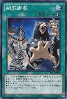 【遊戯王】ノーマル◇剣闘調教