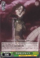 【ヴァイス】R◇空を見上げるマリ