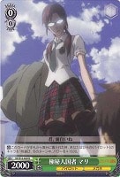 【ヴァイス】Ｒ◇極秘入国者 マリ