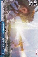 【ヴァイス】CR◇捨て身の攻撃