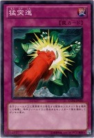 ダーク砂バク 遊戯王トレカ高価買取価格査定 トレコロ ダーク砂バク 遊戯王トレカ高価買取価格査定 トレコロ