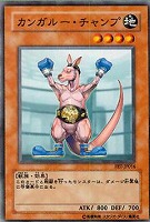 【遊戯王】ノーマル◇カンガルー・チャンプ