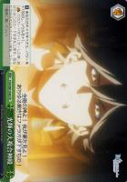 【ヴァイス】CR◇光輝の大複合神殿