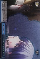 【ヴァイス】SP◇キャスターの望み