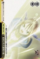 【ヴァイス】TD◇約束された勝利の剣