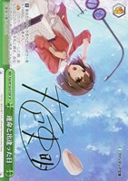 カードを買う/ヴァイスシュヴァルツ/2024年度作品/富士見