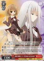 【ヴァイス】U◇碧陽学園第三十三代生徒会 北斗&東子
