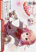 カードを買う/ヴァイスシュヴァルツ/2024年度作品/富士見