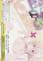 【ヴァイス】RRR◇少女任務中