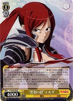 【ヴァイス】R◇“黒羽の鎧”エルザ