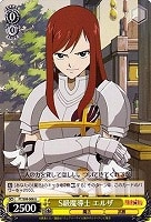 【ヴァイス】U◇S級魔導士 エルザ