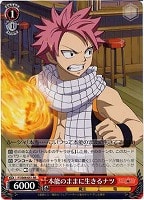 【ヴァイス】RR◇本能のままに生きるナツ