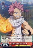 【ヴァイス】SR◇本能のままに生きるナツ