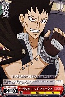 【ヴァイス】U◇ガジル・レッドフォックス