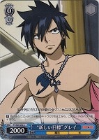 ヴァイス 命を懸けた冒険 グレイ PR+ PR Z/X -Zillions of enemy X- NF DramaCD ⑭ 「ナイショの・きぃ