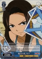 【ヴァイス】C◇魔法の札 カナ