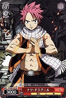 【ヴァイス】TD◇ナツ・ドラグニル
