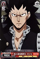 【ヴァイス】TD◇鉄の滅竜魔導士 ガジル