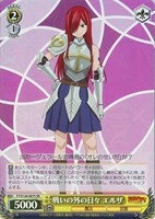 【ヴァイス】ＳＲ◇戦いの外の日々 エルザ