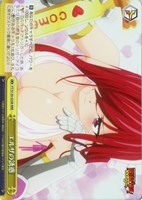 【ヴァイス】ＲＲＲ◇エルザの誘惑