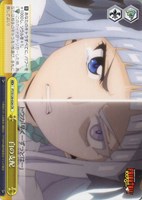 【ヴァイス】CR◇白の支配