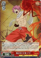 【ヴァイス】SR◇焼き尽くす炎 ナツ