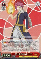 【ヴァイス】SR◇受け継がれる炎 ナツ