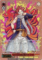 カードを買う/ヴァイスシュヴァルツ/2025年度作品/FAIRY TAIL