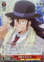 【ヴァイス】SR◇追跡するガジル