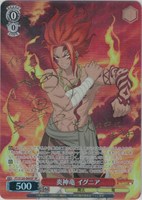 カードを買う/ヴァイスシュヴァルツ/2025年度作品/FAIRY TAIL
