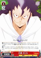 【ヴァイス】C◇白滅 ガジル