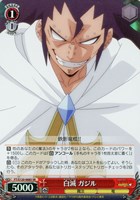 【ヴァイス】SR◇白滅 ガジル